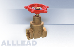 gate valve